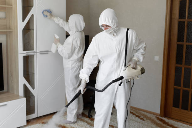 Mold Testing and Removal in Hayti, MO